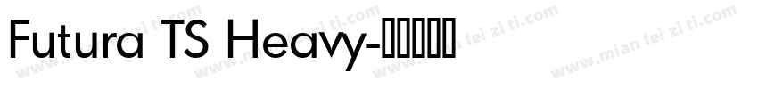 Futura TS Heavy字体转换